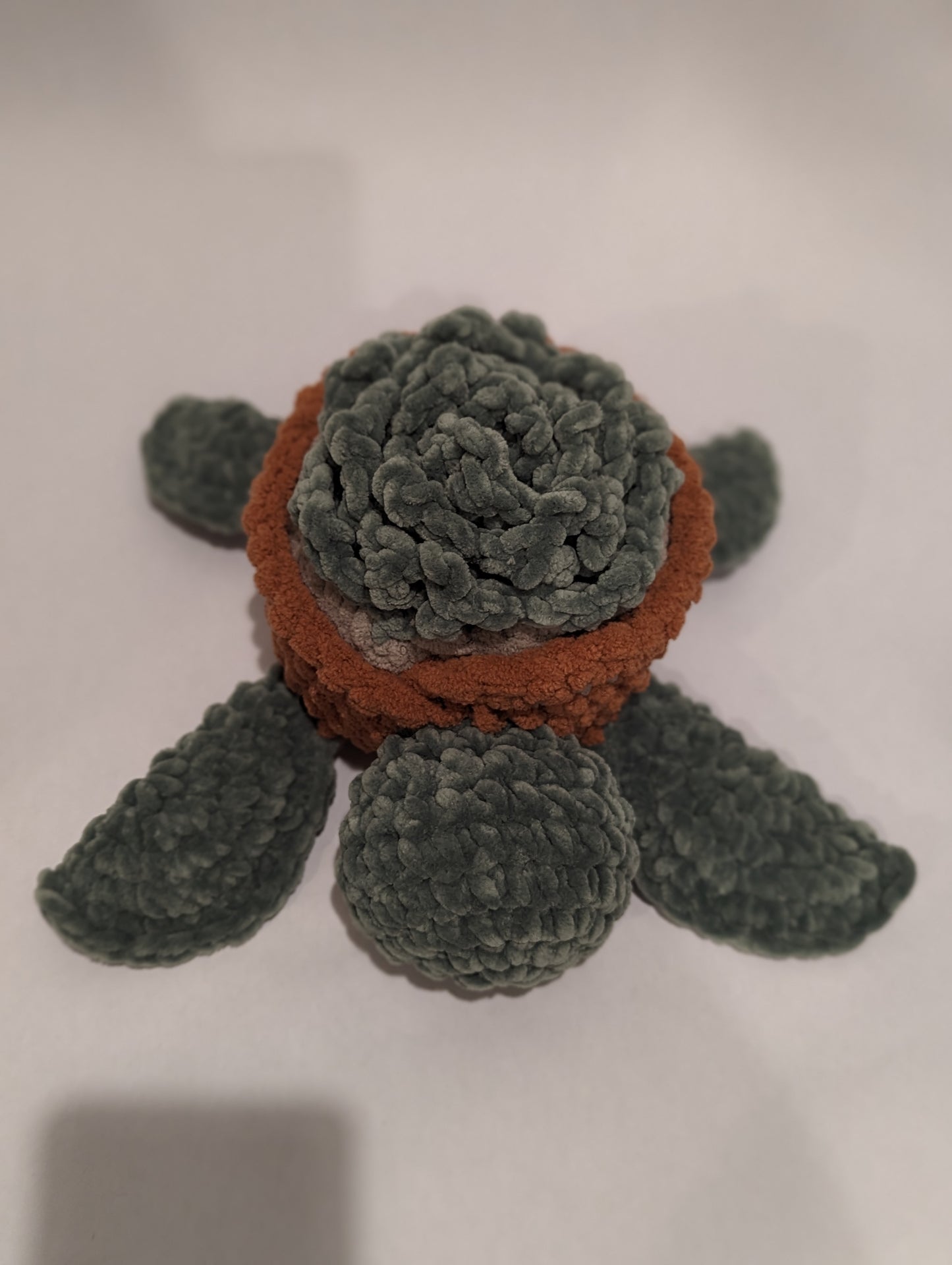 Succulent Turtle