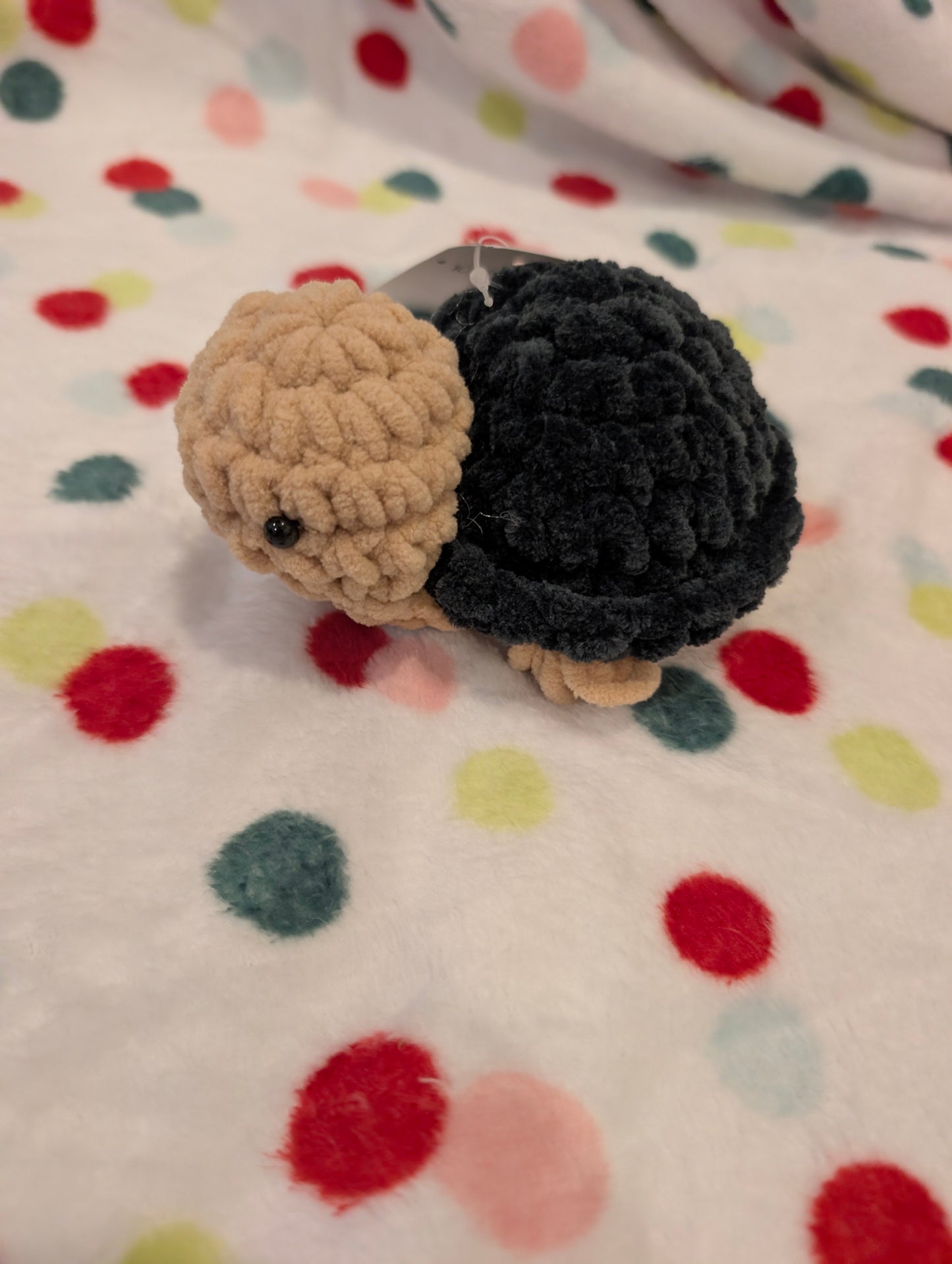 Mini Turtle